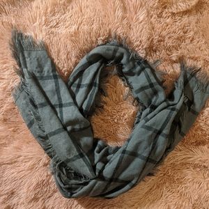 FREE w/ purchase-soft grey scarf